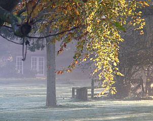 Guest house 411807 - Holiday property Kempen - Huisje in Eersel