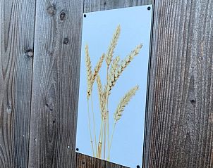 Detail van decoratie in Huisje in Eersel, een vakantiewoning in de Kempen, Noord Brabant, met natuurthema.