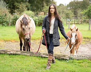 Persoon wandelt met paarden in de weide van Huisje in Eersel, vakantiehuis in de Kempen, Noord Brabant.