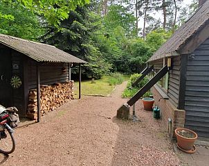 Houtopslag en fiets bij Vakantiehuisje in Eersel, omgeven door natuur, Noord Brabant.