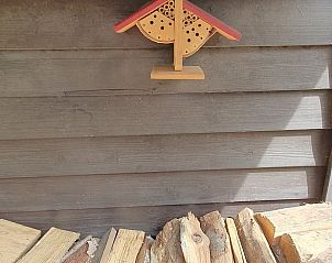 Houtblokken en insectenhotel bij Vakantiehuisje in Eersel, omgeven door natuur, Kempen.