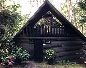 Charmant vakantiehuis Huisje in Eersel, gelegen in de bossen van Eersel, Kempen, Noord Brabant, met een gezellige houten uitstraling.