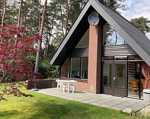 Geniet van de rust bij Vakantiehuisje in Eersel, een charmant vakantiehuis in de bossen van de Kempen, Noord Brabant.
