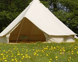 Unterkunft 411942 - Ferienhaus Kempen - Vakantiehuisje in Baarschot