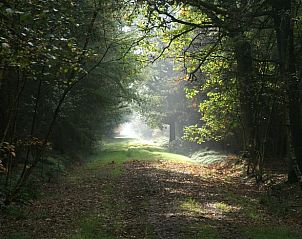 Unterkunft 411942 - Ferienhaus Kempen - Vakantiehuisje in Baarschot