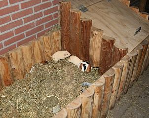 Unterkunft 411943 - Ferienhaus Kempen - Vakantiehuis in Baarschot (Hilvarenbeek)