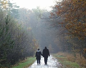 Unterkunft 411943 - Ferienhaus Kempen - Vakantiehuis in Baarschot (Hilvarenbeek)