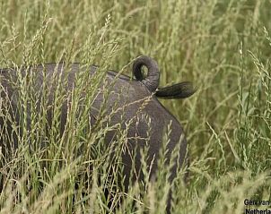 Unterkunft 411944 - Ferienhaus Kempen - Vakantiehuis in Baarschot (Hilvarenbeek)
