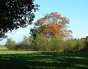 Unterkunft 411944 - Ferienhaus Kempen - Vakantiehuis in Baarschot (Hilvarenbeek)