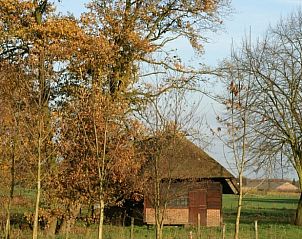 Unterkunft 411944 - Ferienhaus Kempen - Vakantiehuis in Baarschot (Hilvarenbeek)