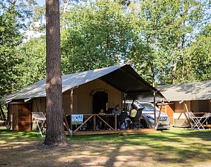 Guest house 412006 • Tent house Kempen • Safaritent 4 