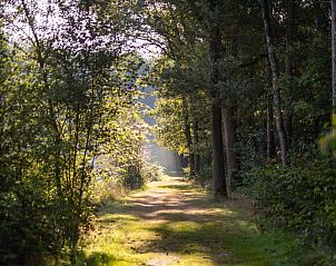 Unterkunft 412006 - Zelthaus Kempen - Safaritent 4
