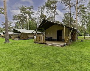 Guest house 412007 • Tent house Kempen • Safaritent 6 