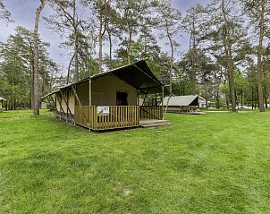 Unterkunft 412007 - Zelthaus Kempen - Safaritent 6