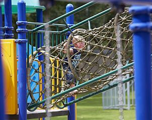 Unterkunft 412007 - Zelthaus Kempen - Safaritent 6