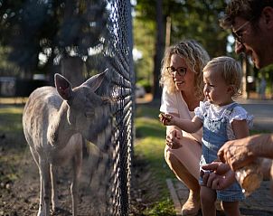 Unterkunft 412007 - Zelthaus Kempen - Safaritent 6