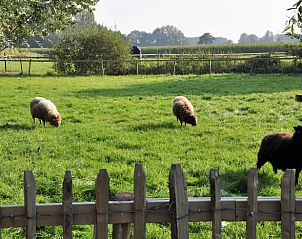 Guest house 412105 - Holiday property Kempen - Huisje in Heeze