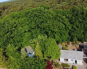 Luftaufnahme von Cottage in Luyksgestel, Ferienhaus inmitten von ppigem Grn in den Kempen, Nordbrabant.