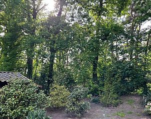 Grner Garten um das Cottage in Luyksgestel, Ferienhaus in den Kempen, Nordbrabant.