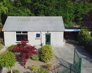 Garten mit Blumen in Huisje in Luyksgestel, Ferienhaus in den Kempen, Nordbrabant.