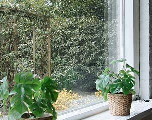 Blick aus dem Fenster des Ferienhauses in Luyksgestel, Ferienhaus in den Kempen, Nordbrabant.