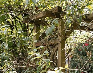 Hlzerne Pergola mit Kletterpflanzen bei Huisje in Luyksgestel, Ferienhaus in den Kempen, Nordbrabant.