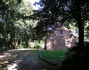 Schattige Zufahrt zum Ferienhaus in Luyksgestel, Ferienunterkunft in Nordbrabant.
