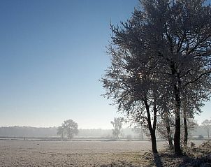 Winterlandschaft rund um das Cottage in Luyksgestel, Ferienunterkunft in Nordbrabant.
