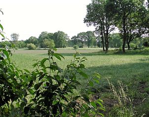 Grne Felder rund um Cottage in Luyksgestel, Ferienhaus in Kempen.