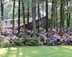 Unterkunft 412710 - Ferienhaus Kempen - Vakantiehuis in Luyksgestel