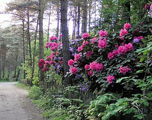 Unterkunft 412710 - Ferienhaus Kempen - Vakantiehuis in Luyksgestel