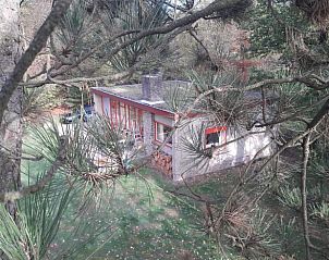 Ferienhaus in Luyksgestel versteckt in der Natur von Kempen, Nordbrabant.