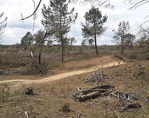 Unterkunft 412711 - Ferienhaus Kempen - Vakantiehuis in Luyksgestel