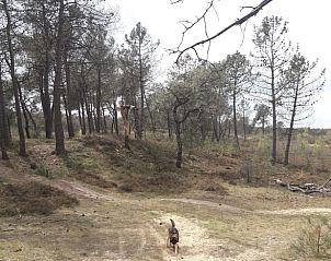 Unterkunft 412711 - Ferienhaus Kempen - Vakantiehuis in Luyksgestel