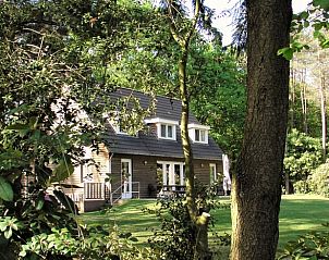 Vakantiehuisje in Luyksgestel verscholen tussen de bomen, ideaal voor een rustige vakantie.