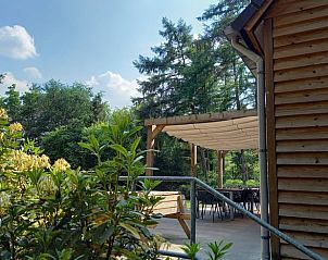 Veranda van Vakantiehuisje in Luyksgestel met uitzicht op de groene omgeving in de Kempen.