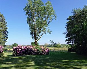 Ruime tuin bij Vakantiehuisje in Luyksgestel met kleurrijke bloemen en een prachtig uitzicht.