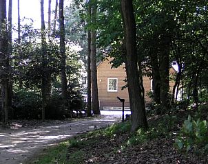 Bosrijke oprijlaan naar Vakantiehuisje in Luyksgestel, een serene vakantiewoning in de Kempen.