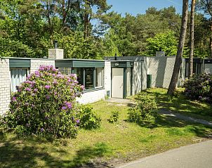 Guest house 413128 • Bungalow Kempen • Het Vennenbos | 8-persoons bungalow | 8C 