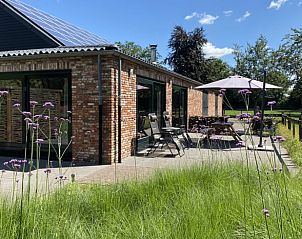 Unterkunft 413134 • Ferienhaus Kempen • Vakantiehuisje in Hapert 
