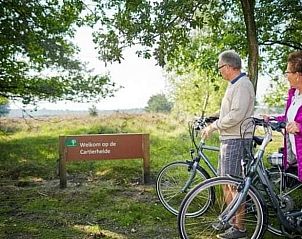 Fietsers verkennen de Cartierheide nabij Vakantiehuisje in Hapert, Kempen, Noord Brabant.