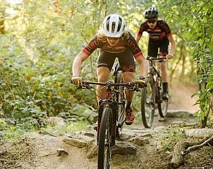Mountainbikers op uitdagend parcours nabij Vakantiehuisje in Hapert, Kempen, Noord Brabant.