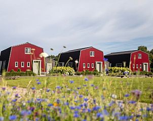 Verblijf 413141 • Vakantiewoning Kempen • Huisje in Hapert 