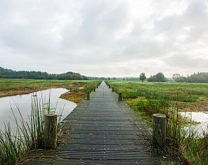 Unterkunft 413143 - Ferienhaus Kempen - Vakantiehuis in Hapert