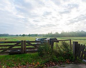Unterkunft 413143 - Ferienhaus Kempen - Vakantiehuis in Hapert
