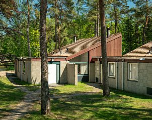 Unterkunft 413152 - Bungalow Kempen - Het Vennenbos | 6-persoons bungalow | 6B1