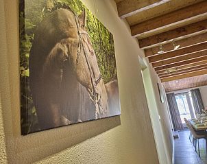 Verblijf 413304 - Vakantiewoning Kempen - De Rouwenbogt