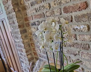 Verblijf 413304 - Vakantiewoning Kempen - De Rouwenbogt