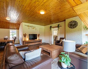 Ruime woonkamer in Achter de Vijf Linden, vakantiehuis in Knegsel, Kempen.