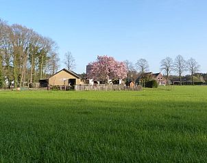 Unterkunft 413803 • Ferienhaus Kempen • Vakantiehuisje in Knegsel 